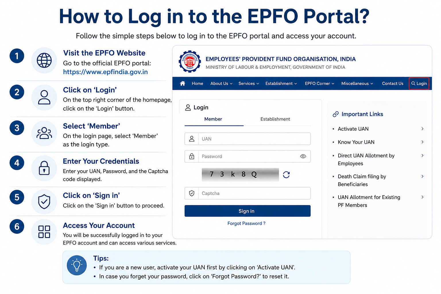 How to Log in to the EPFO Portal?